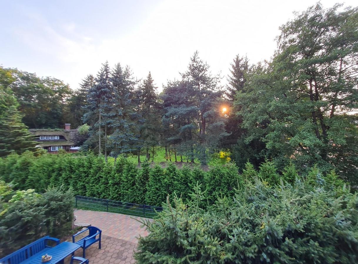 Pension & Ferienhof Gluess Lunzen Экстерьер фото